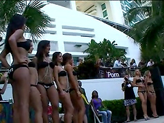 Pornstar in bikini parade in front of judges in reality story