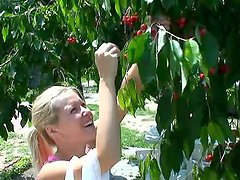 Sophie Moone Picking Up Cherries